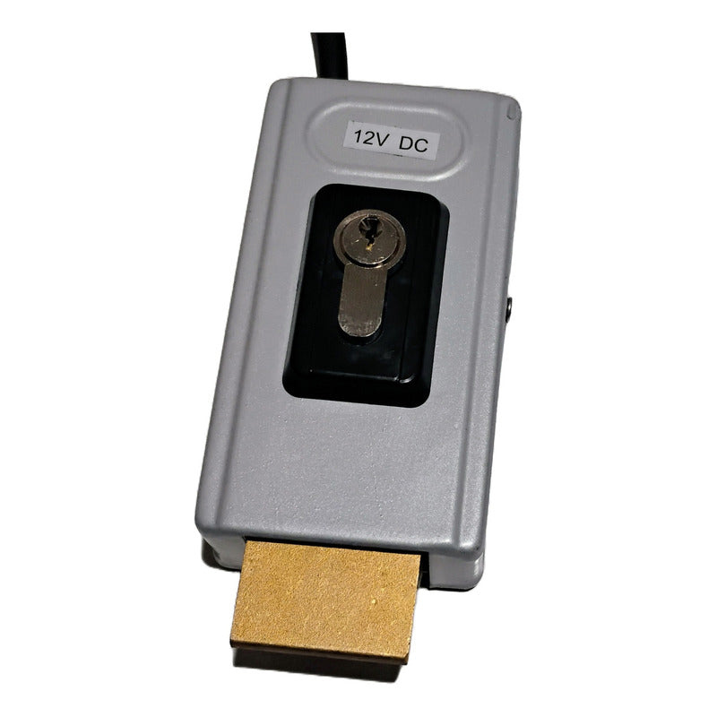 Chapa De Piso Vertical 12v Seg Compatible Viro-faac-genius