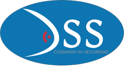 Puertas Automáticas DSS